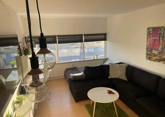 Small But Cozy 1 Bedroom Apartment With Living Room